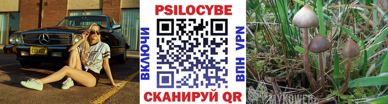 Галлюциногенные грибы MAGIC MUSHROOMS  где можно купить наркотик  MEGA онион  Саранск 